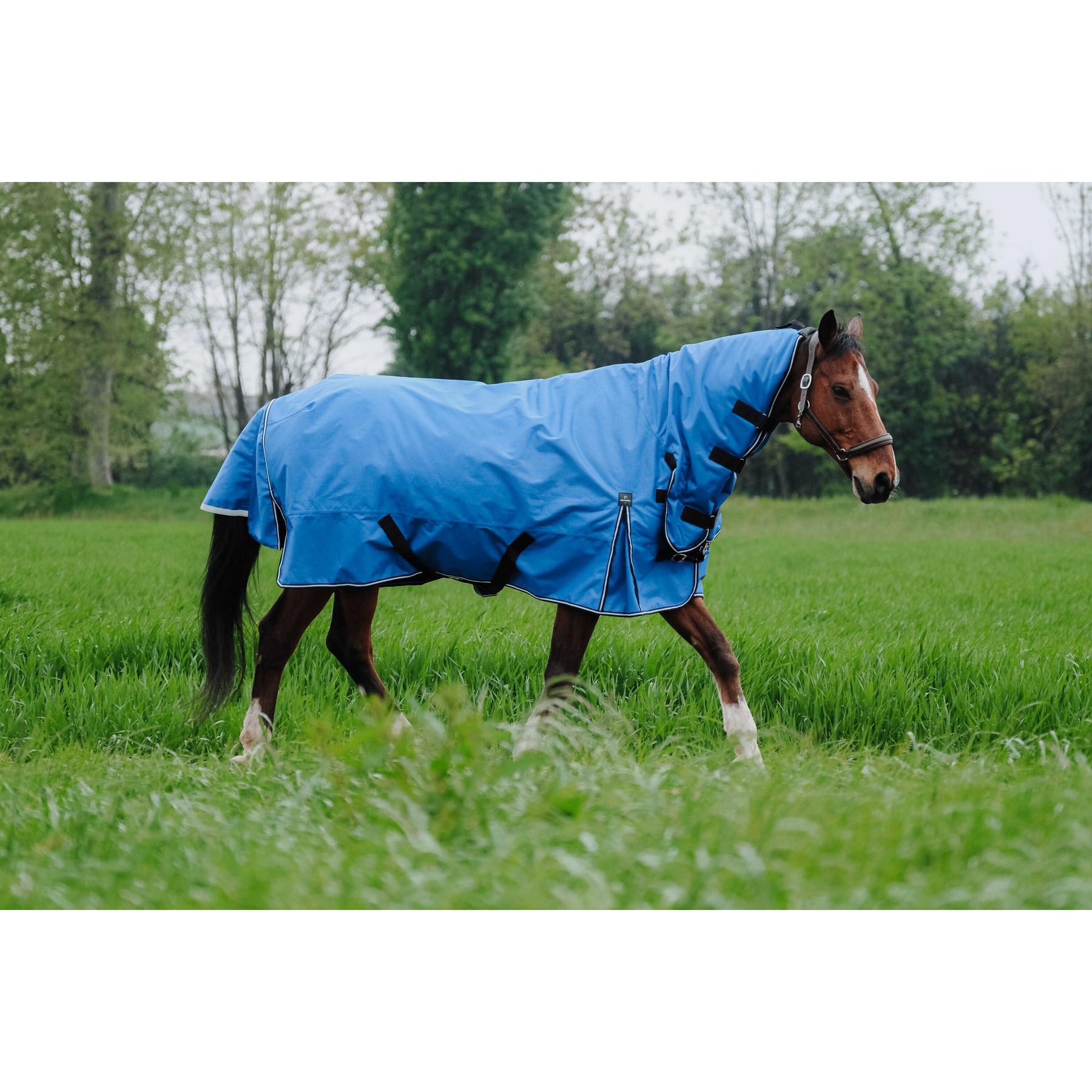 product/e/q/equitheme_400944466_bleu-roi_2.jpg