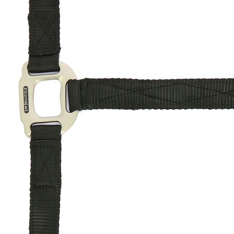 product/e/q/equitheme_510099002.jpg