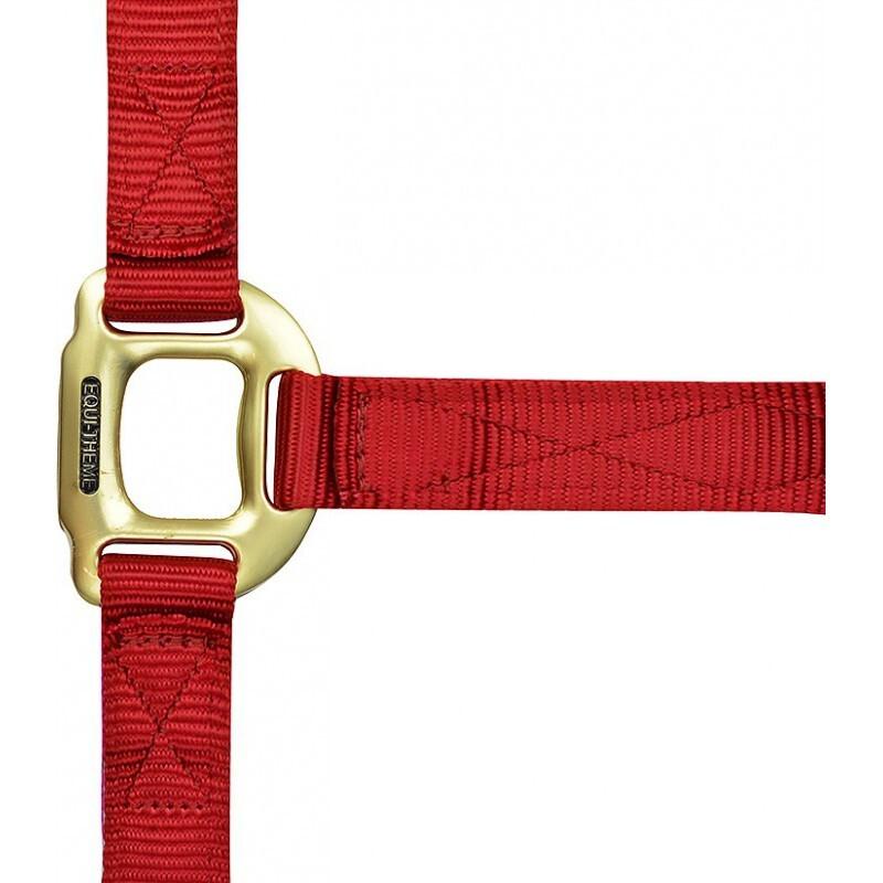 product/e/q/equitheme_510099003_1.jpg