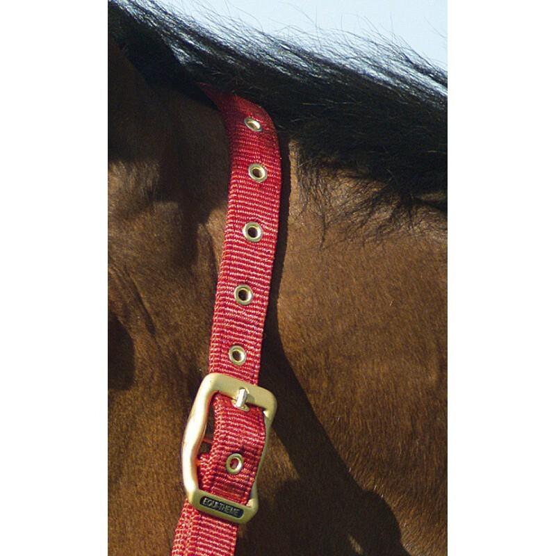 product/e/q/equitheme_510099003_4.jpg