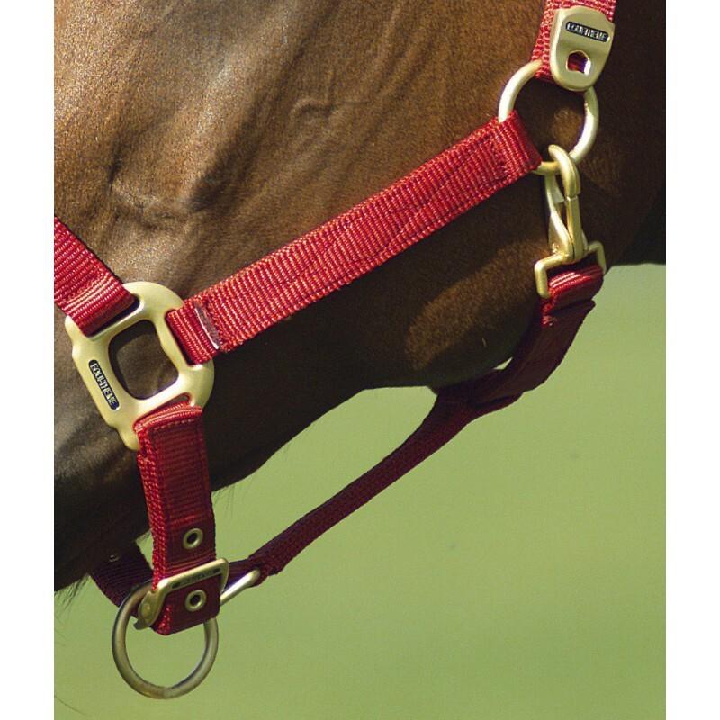 product/e/q/equitheme_510099003_5.jpg