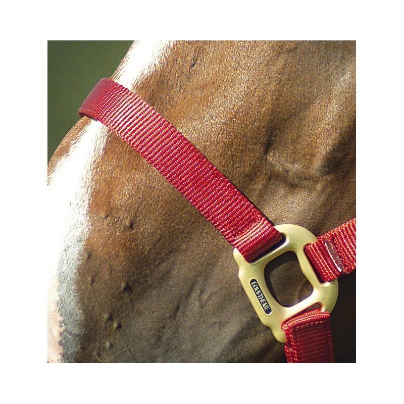 product/e/q/equitheme_510099003_6.jpg