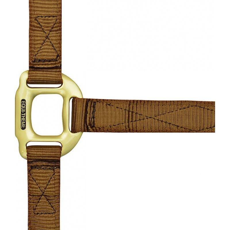 product/e/q/equitheme_510099004_1.jpg