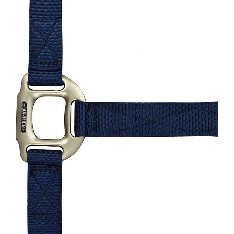 product/e/q/equitheme_510099007_1.jpg