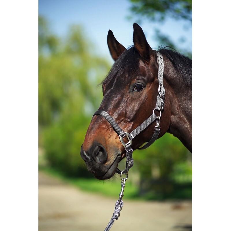 product/e/q/equitheme_510099011_3.jpg