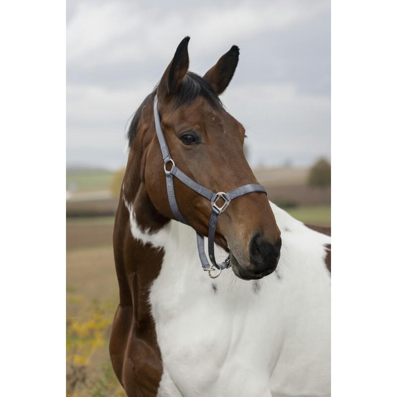 product/e/q/equitheme_510099011_4.jpg