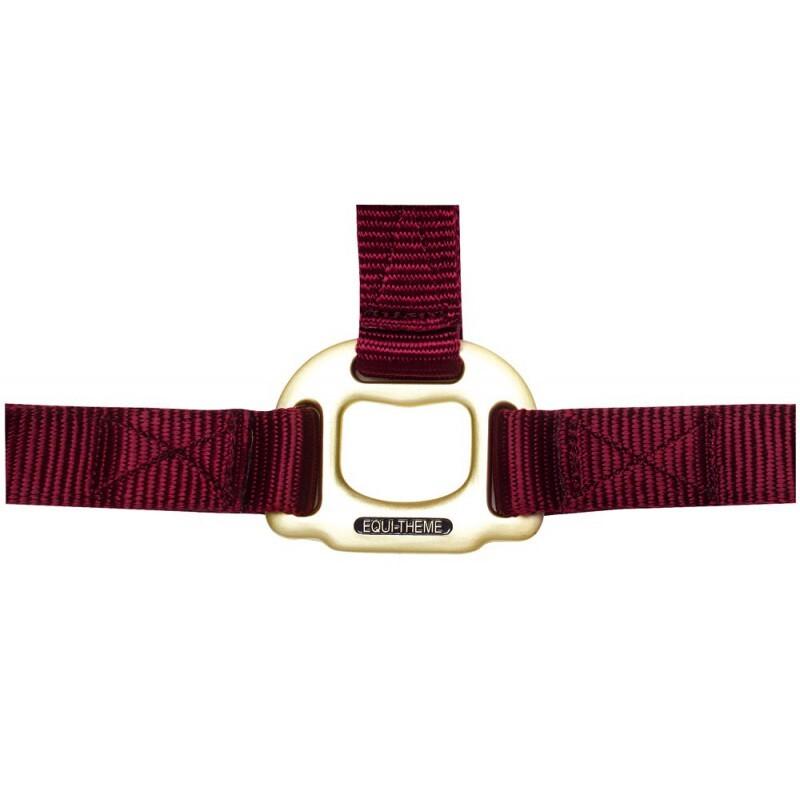 product/e/q/equitheme_510099033_1.jpg