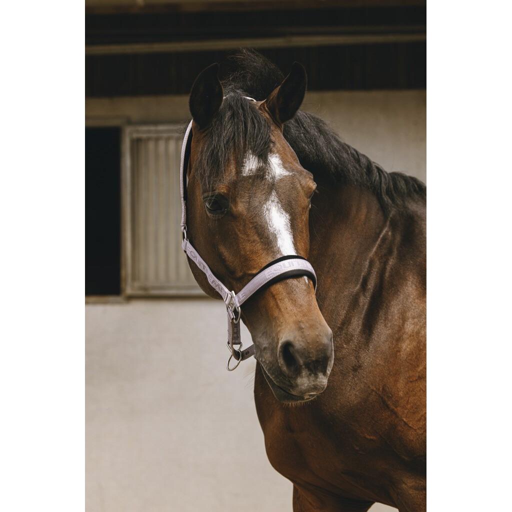product/e/q/equitheme_510259116_lilas_3.jpg