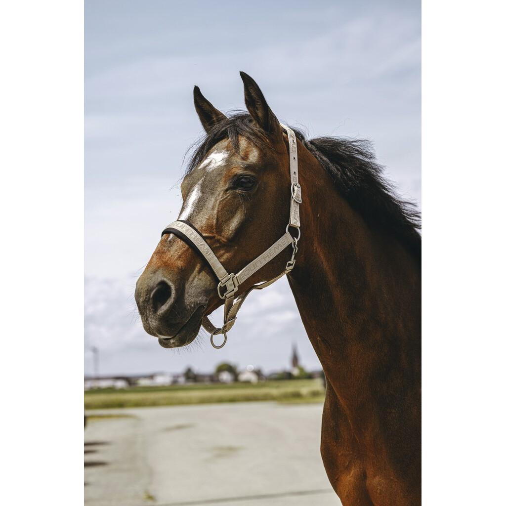 product/e/q/equitheme_510259127_taupe_3.jpg