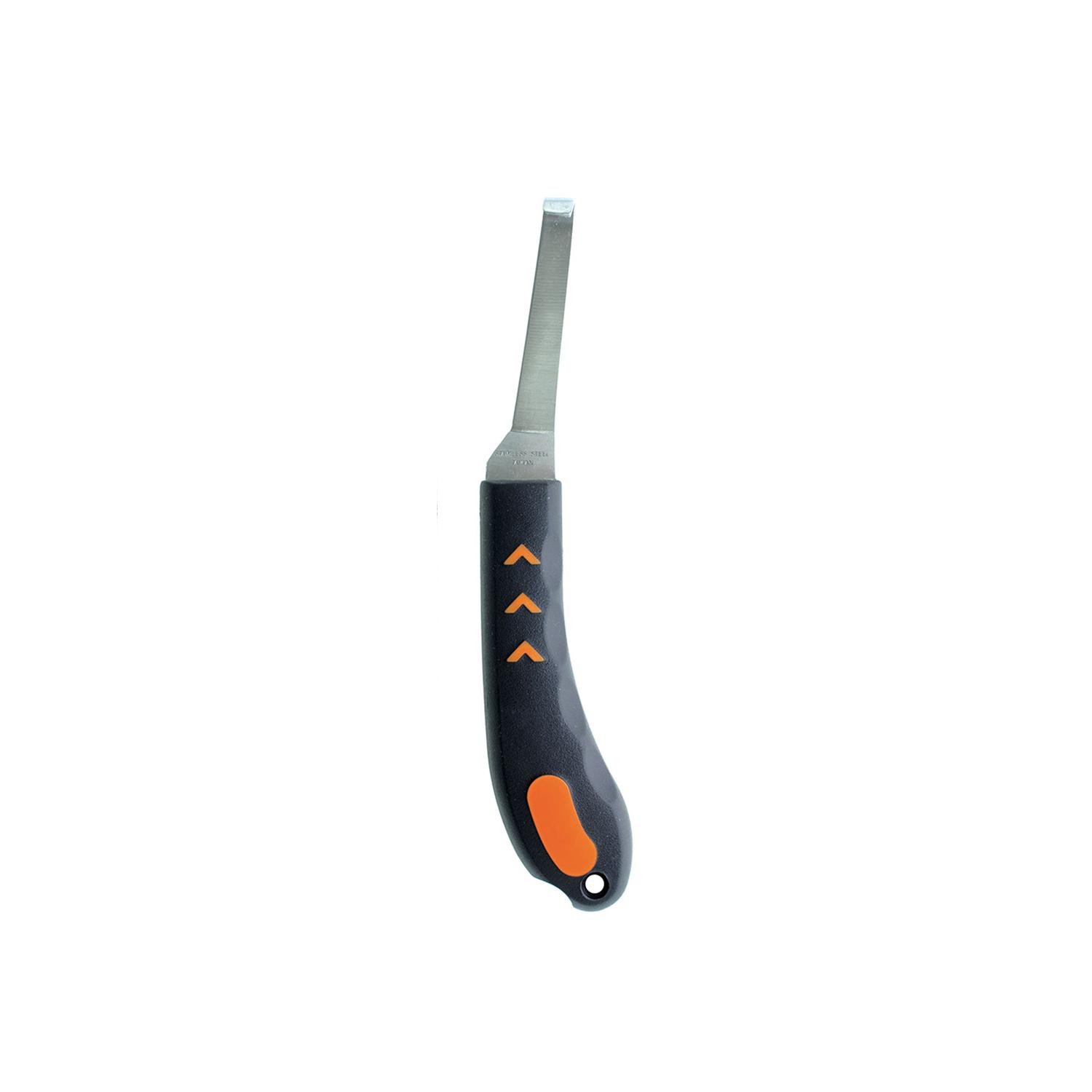 product/f/o/forget_ma00118_bleu_2.jpg