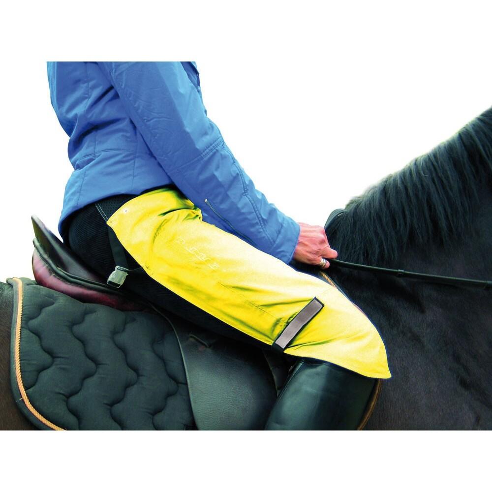 product/h/a/harry-s-horse_26000602-09_0.jpg