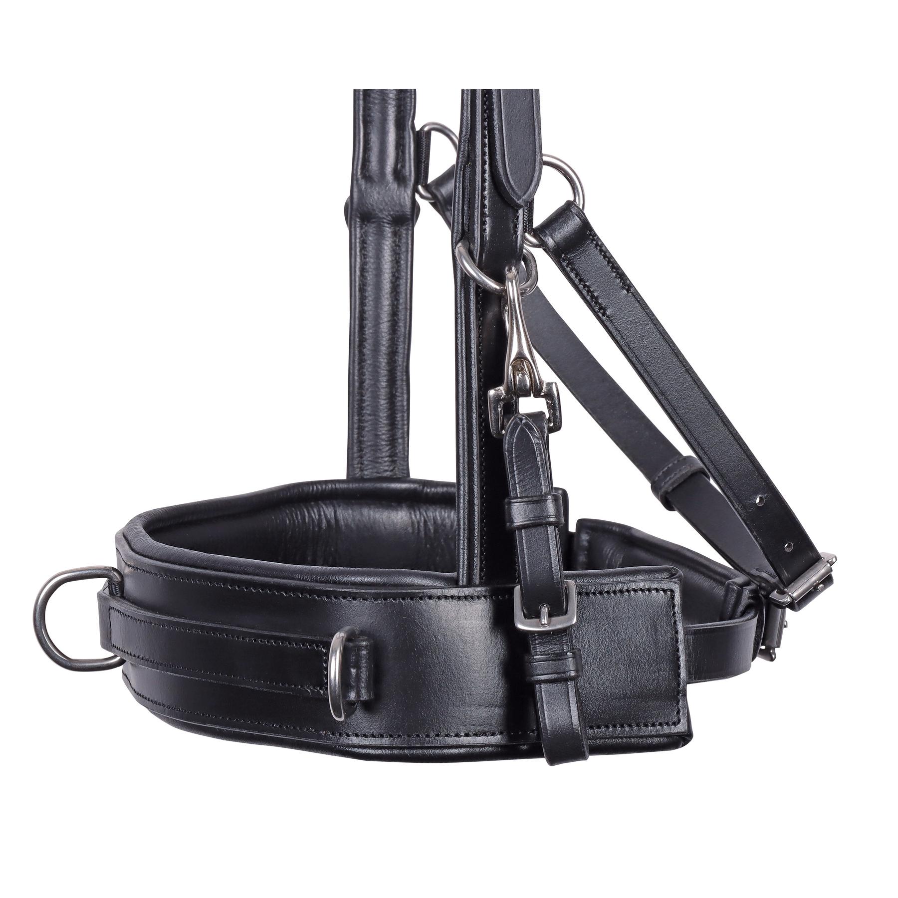 product/h/a/harry-s-horse_28008126-05_2.jpg