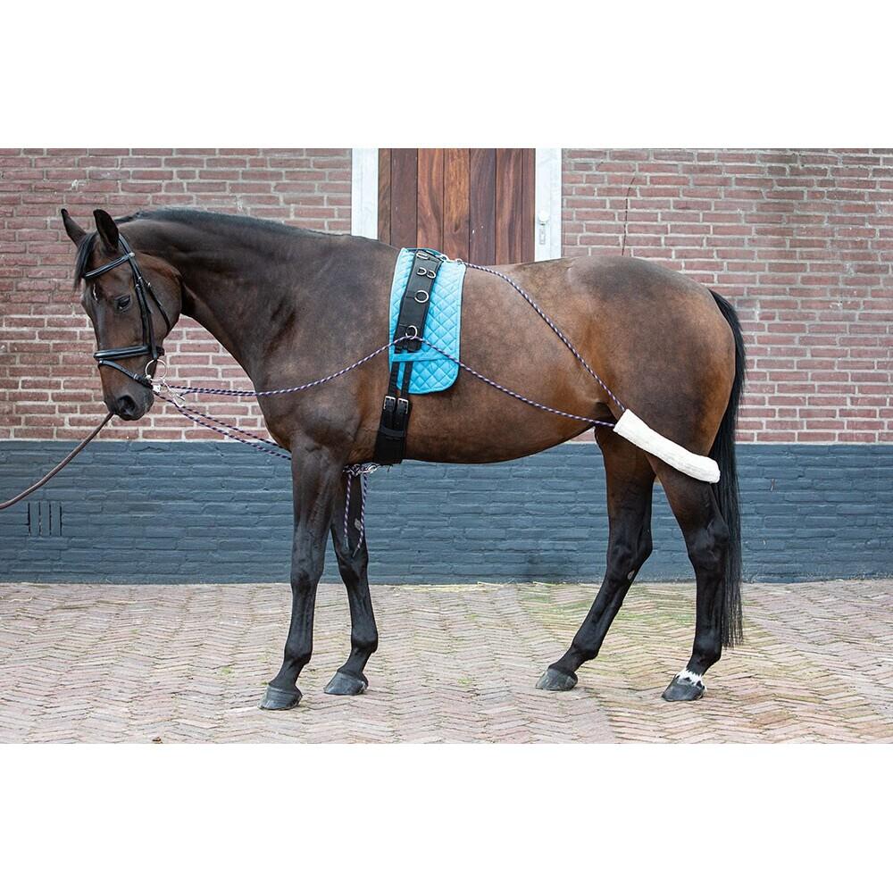 product/h/a/harry-s-horse_28400070_1_2.jpg