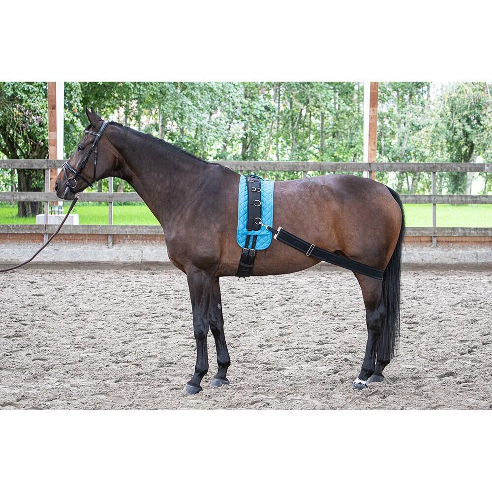 product/h/a/harry-s-horse_28400073_1_2.jpg
