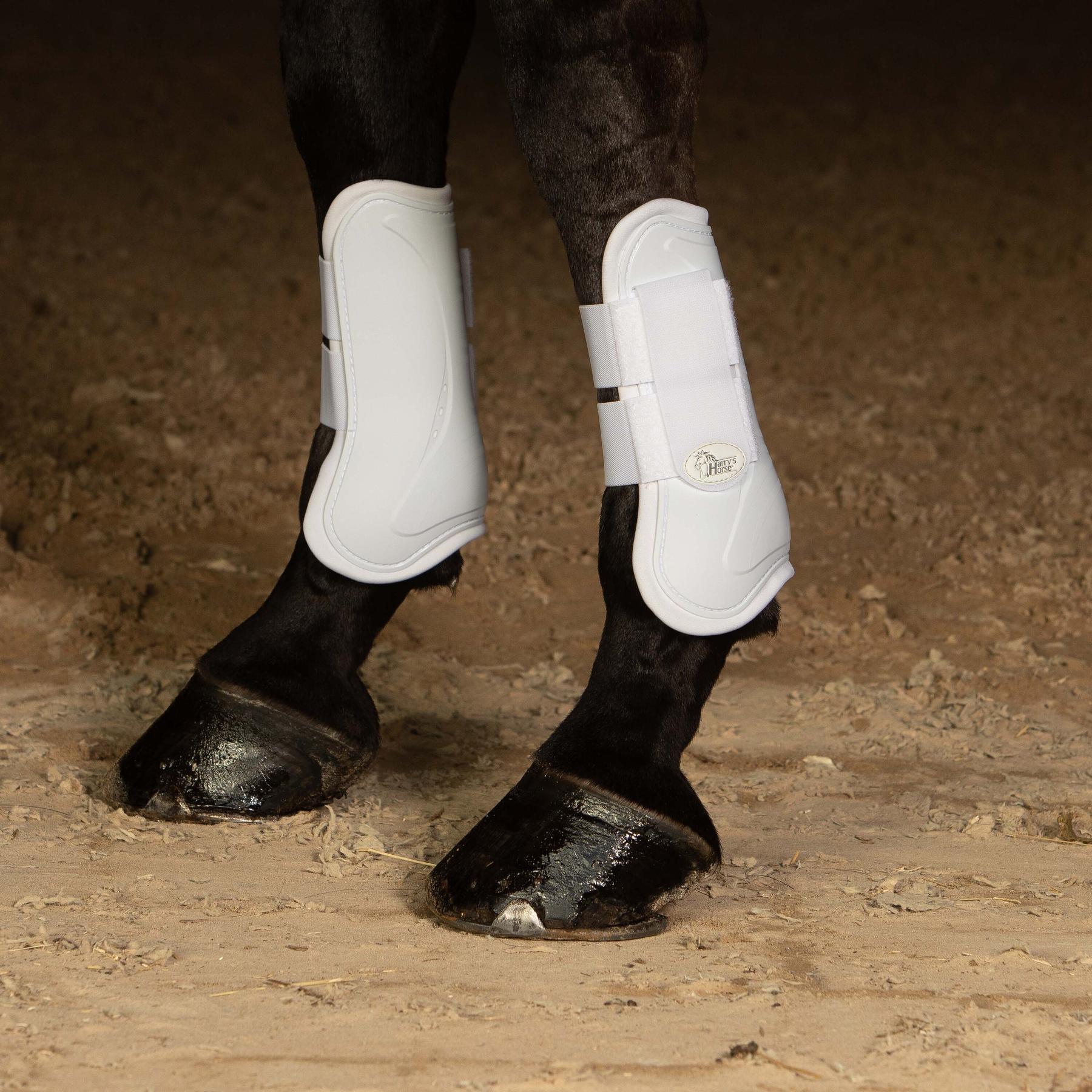 product/h/a/harry-s-horse_33200002-04_1.jpg