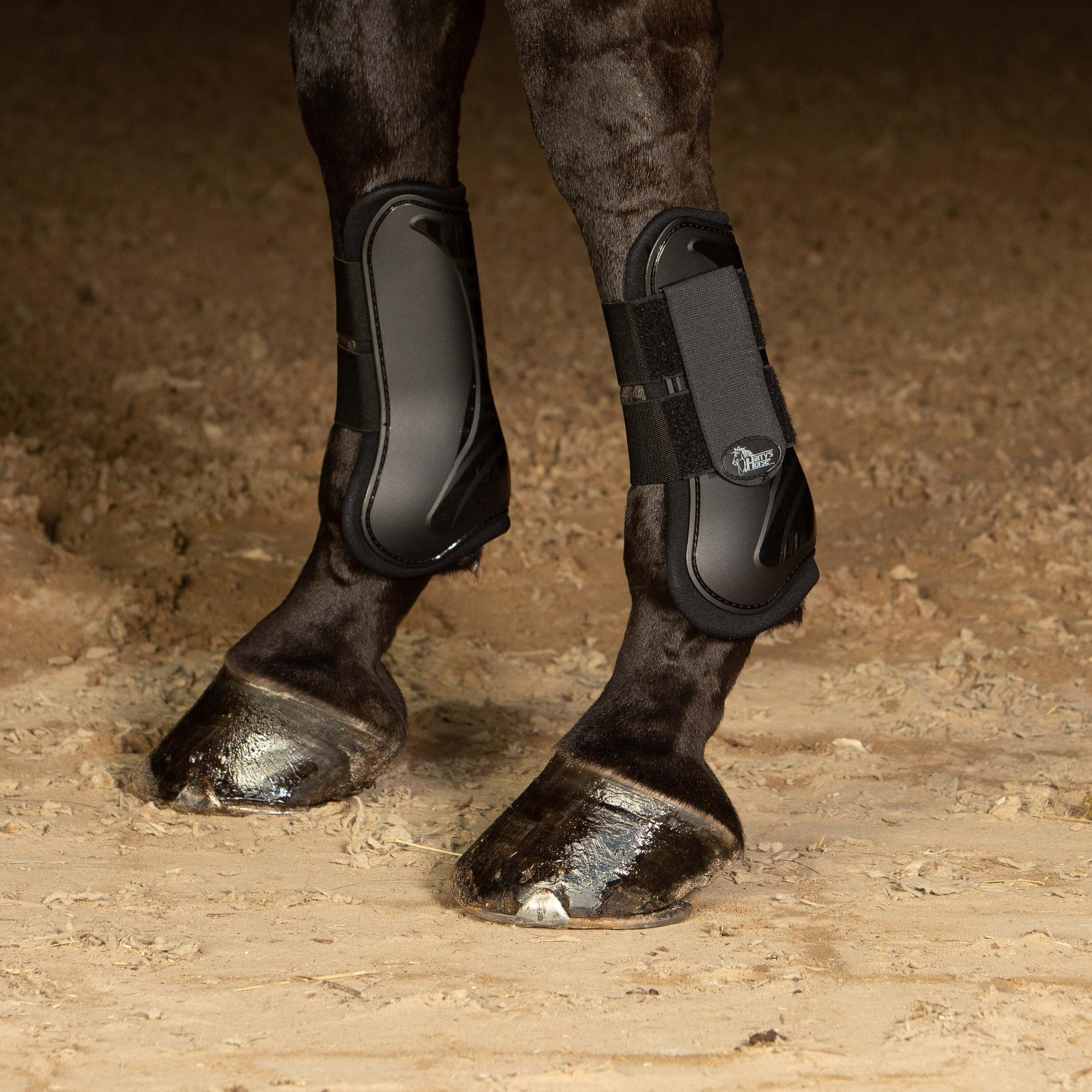 product/h/a/harry-s-horse_33200002-05_1.jpg