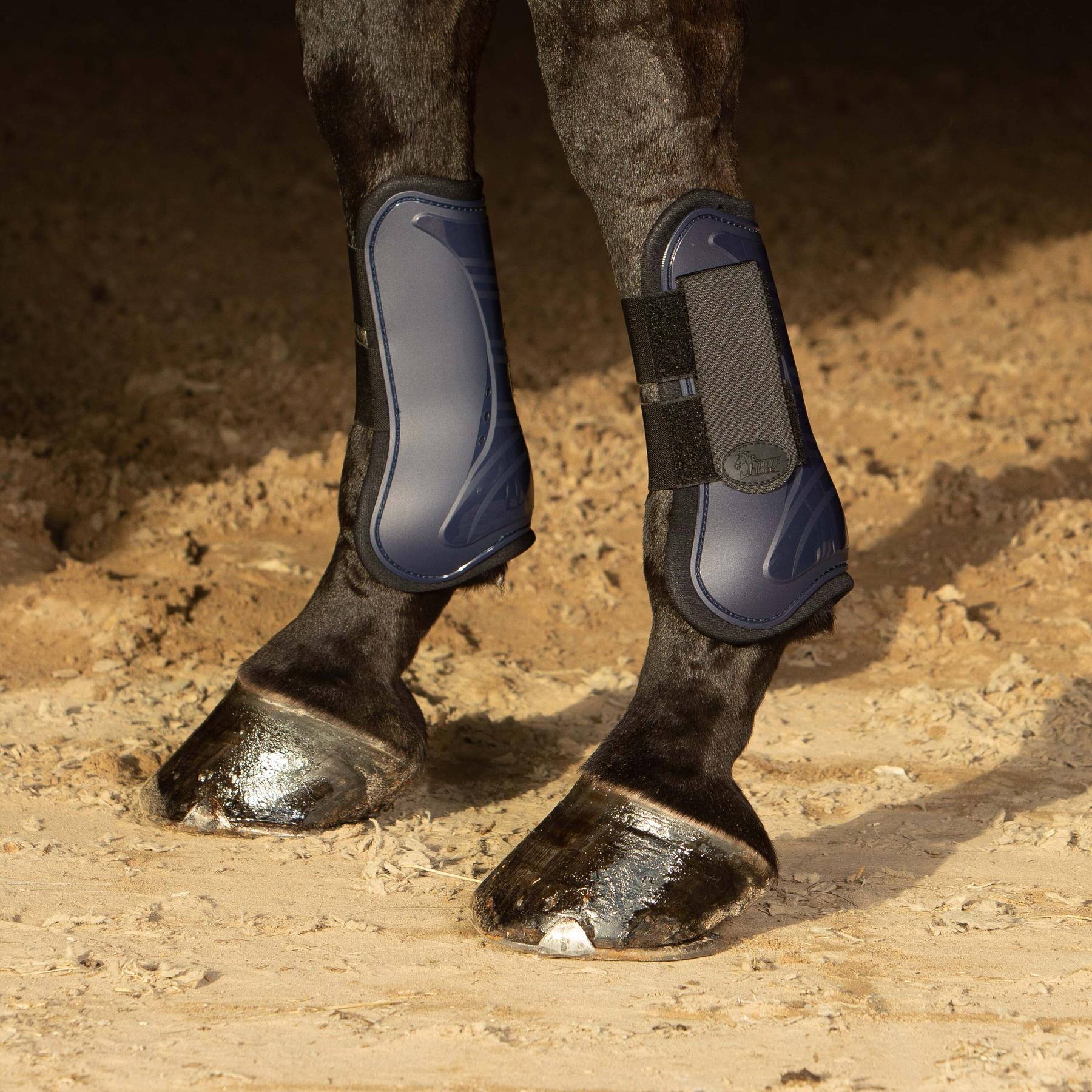 product/h/a/harry-s-horse_33200002-07_1.jpg
