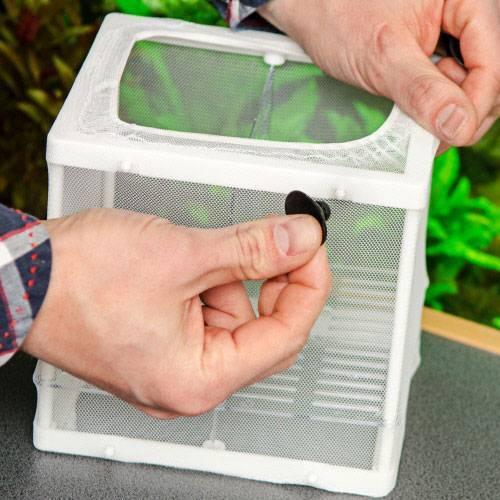product/h/o/hobby_ho61383_transparent_6.jpg