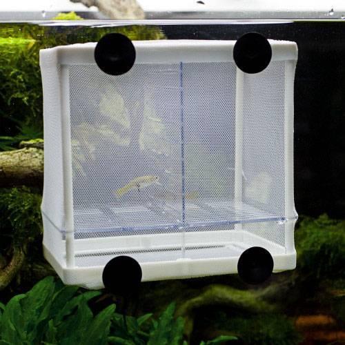 product/h/o/hobby_ho61383_transparent_7.jpg
