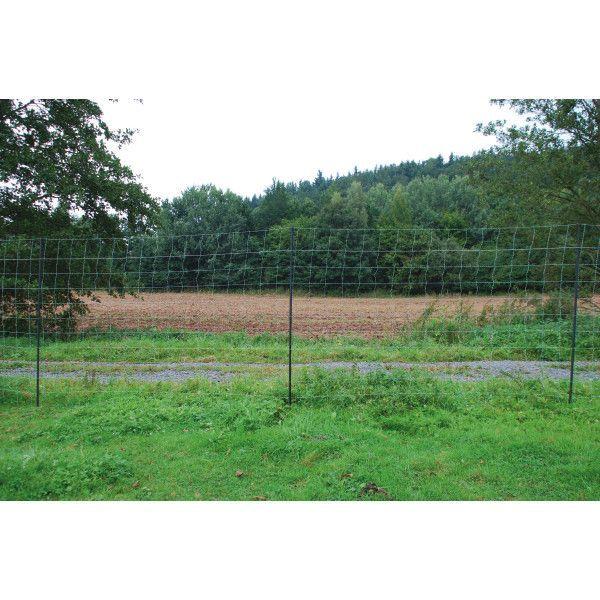 product/h/o/horizont_125h18403_blanc-vert_1.jpg