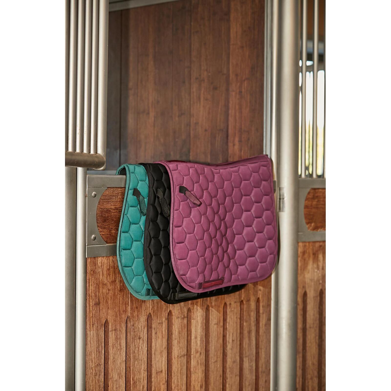 product/h/o/horseguard_504040601_black_2.jpg
