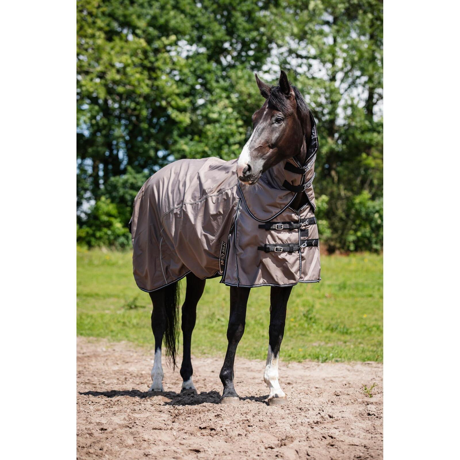 product/h/o/horseguard_505850589_falcon_1.jpg