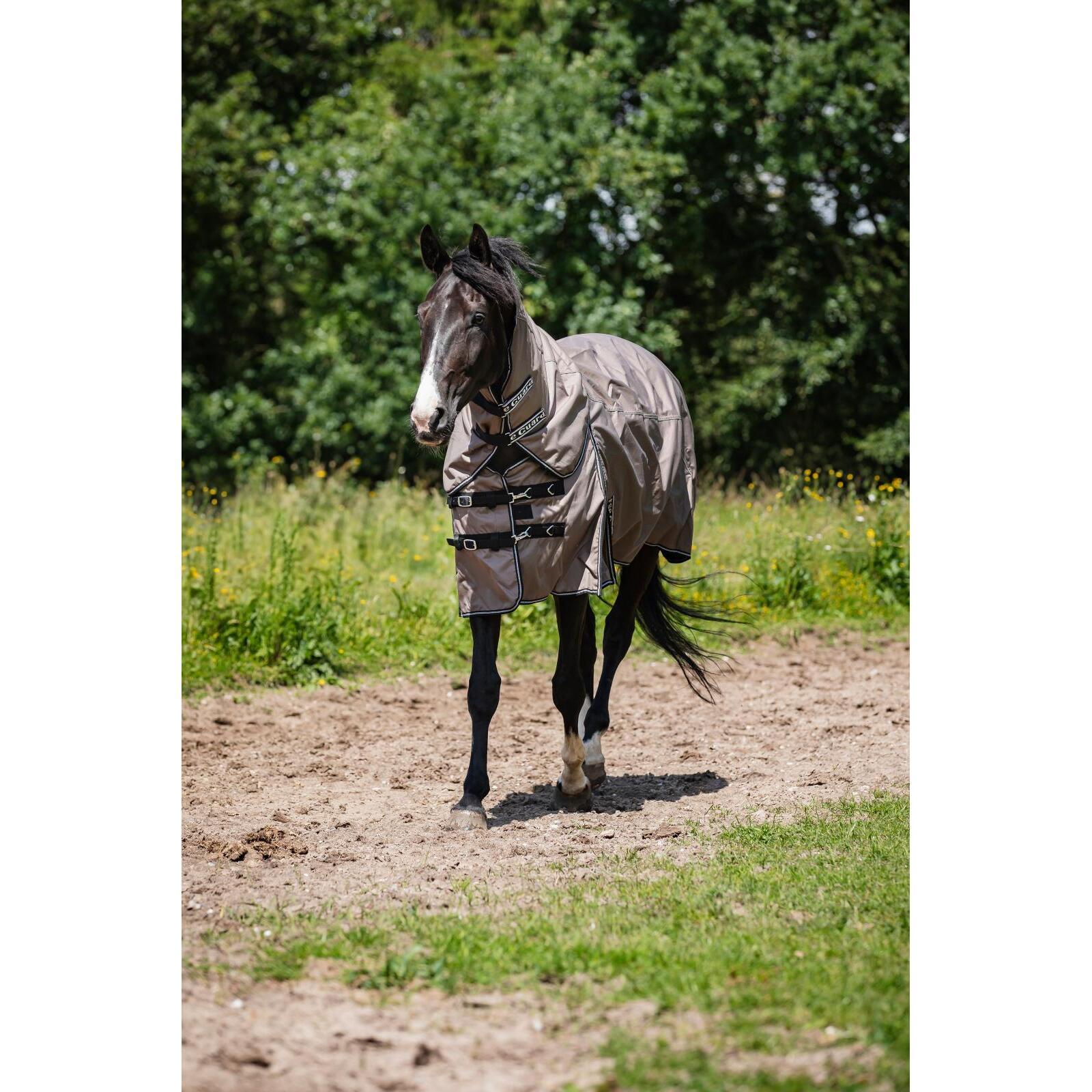 product/h/o/horseguard_505850589_falcon_2.jpg