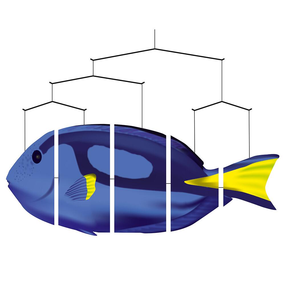 product/h/q/hq-invento_hqombt_bleu-jaune_1.jpg