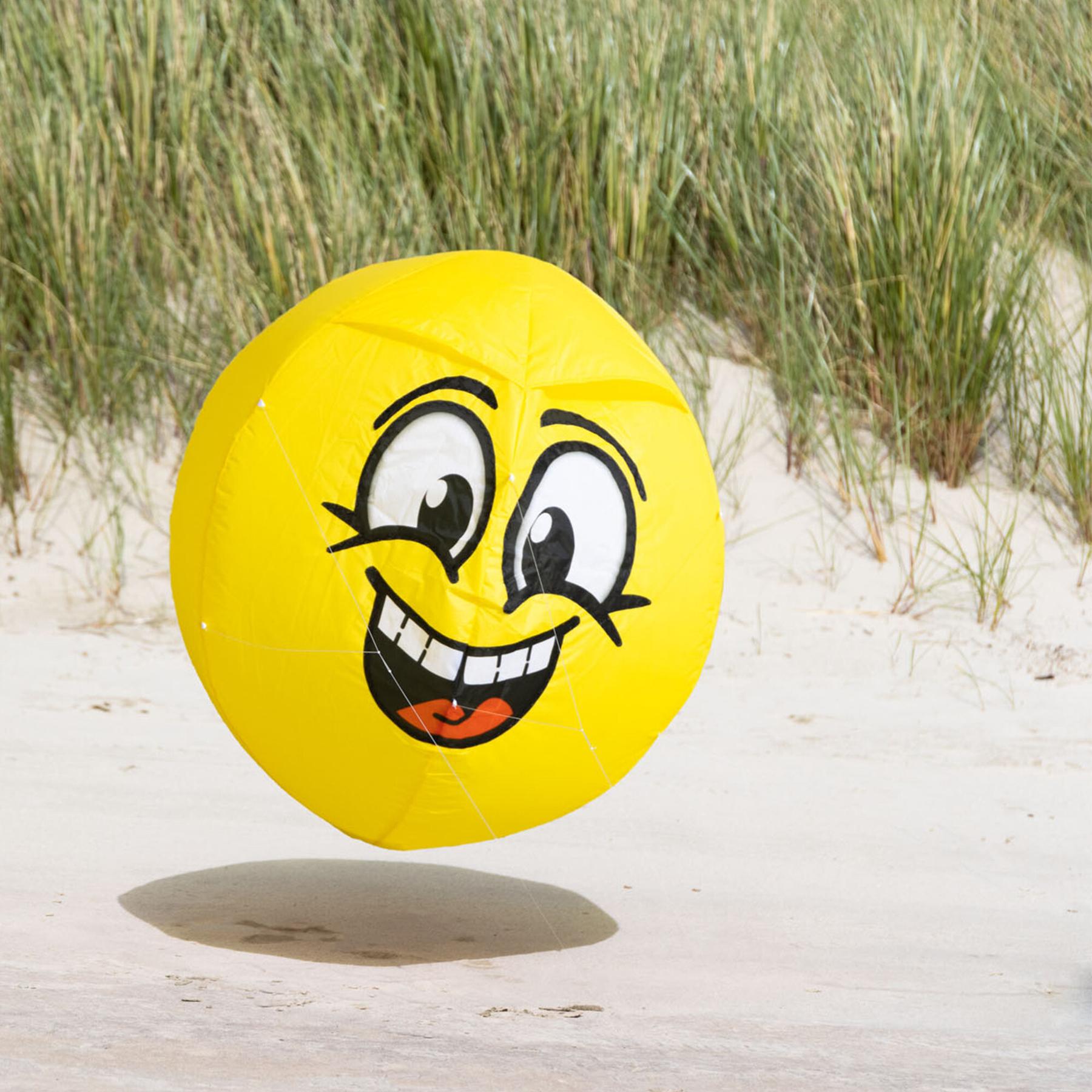 product/h/q/hq-kites_hqbmh_jaune-noir_2.jpg