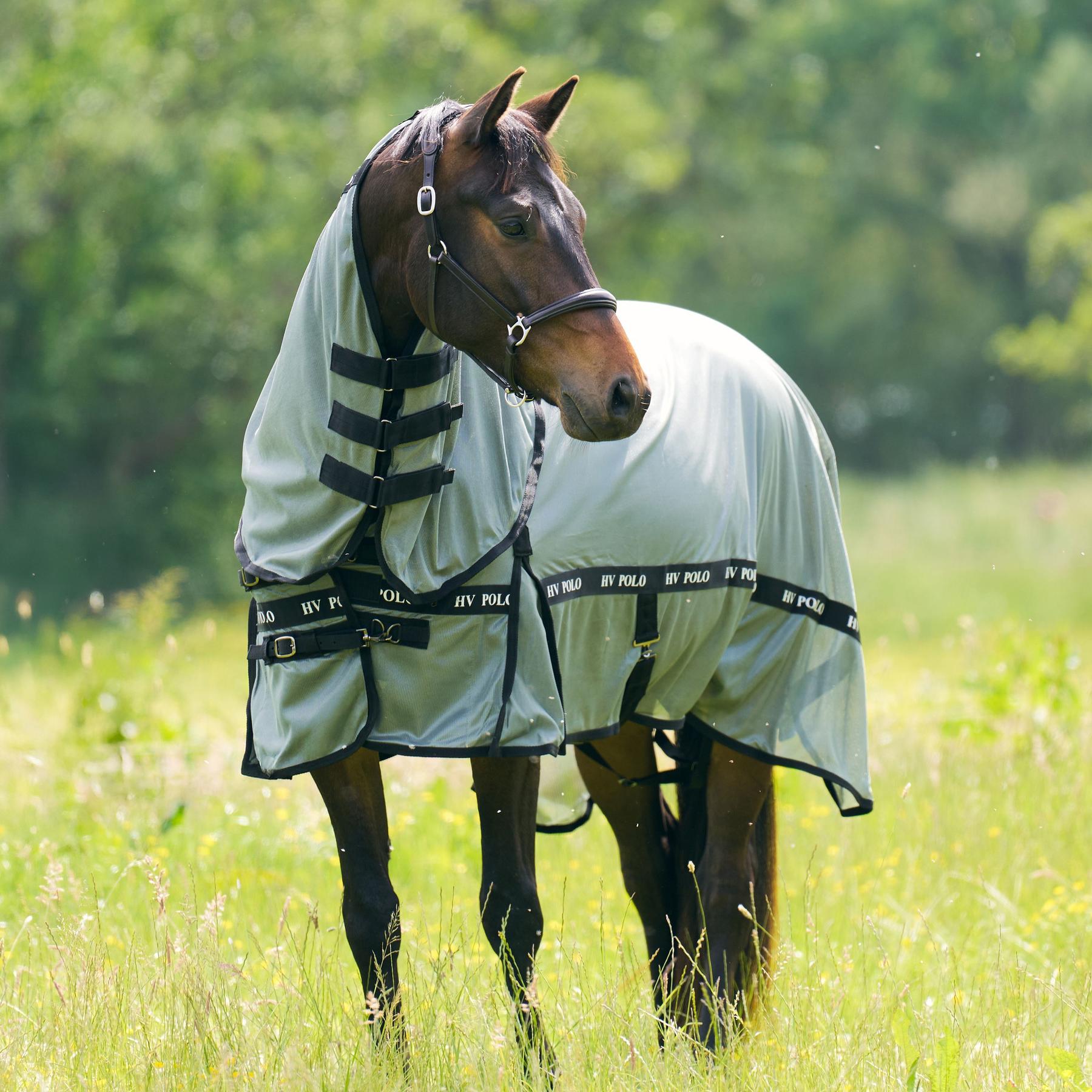 product/h/v/hv-polo_2405093700-6129_greenery_1.jpg
