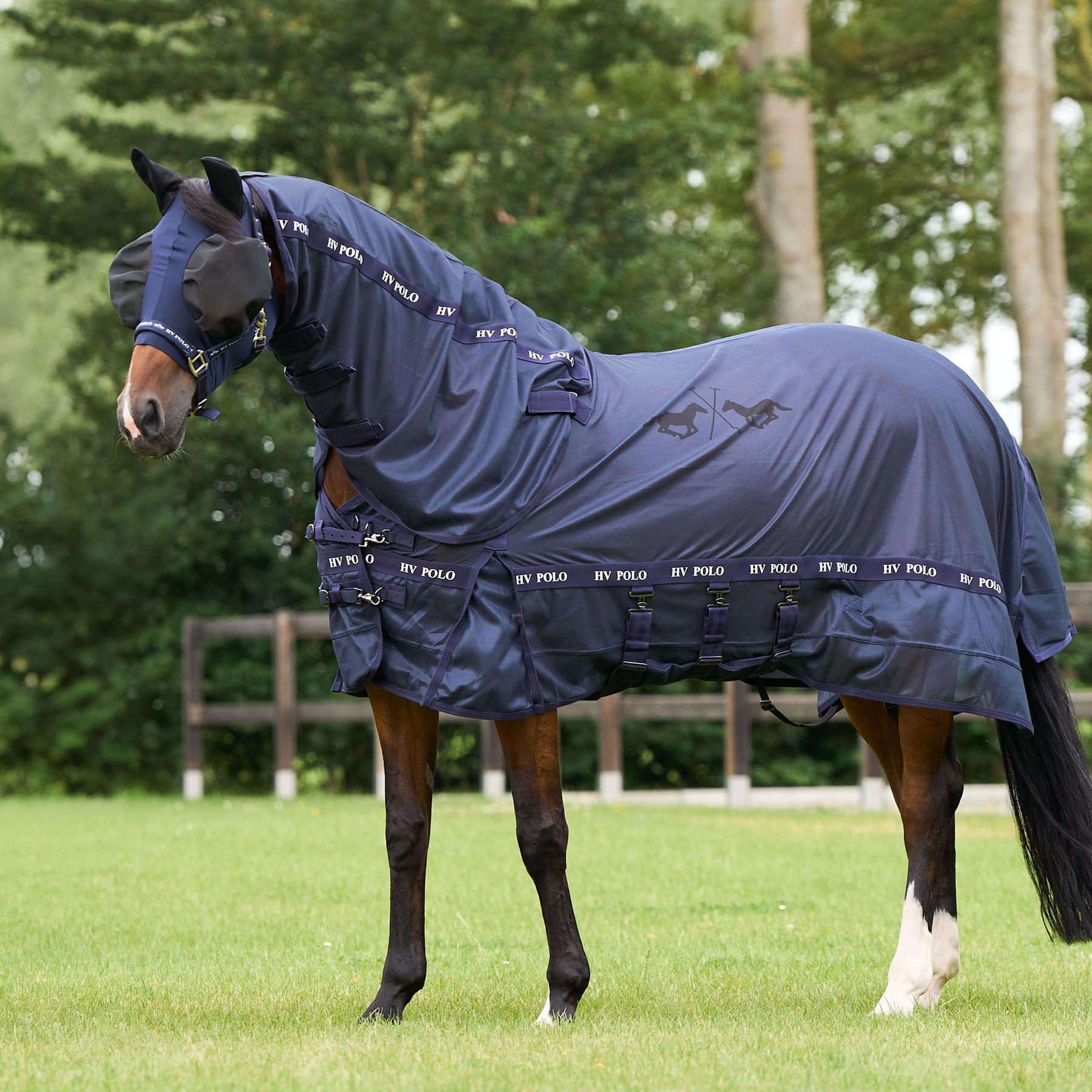 product/h/v/hv-polo_3005093701-5001_navy_2.jpg