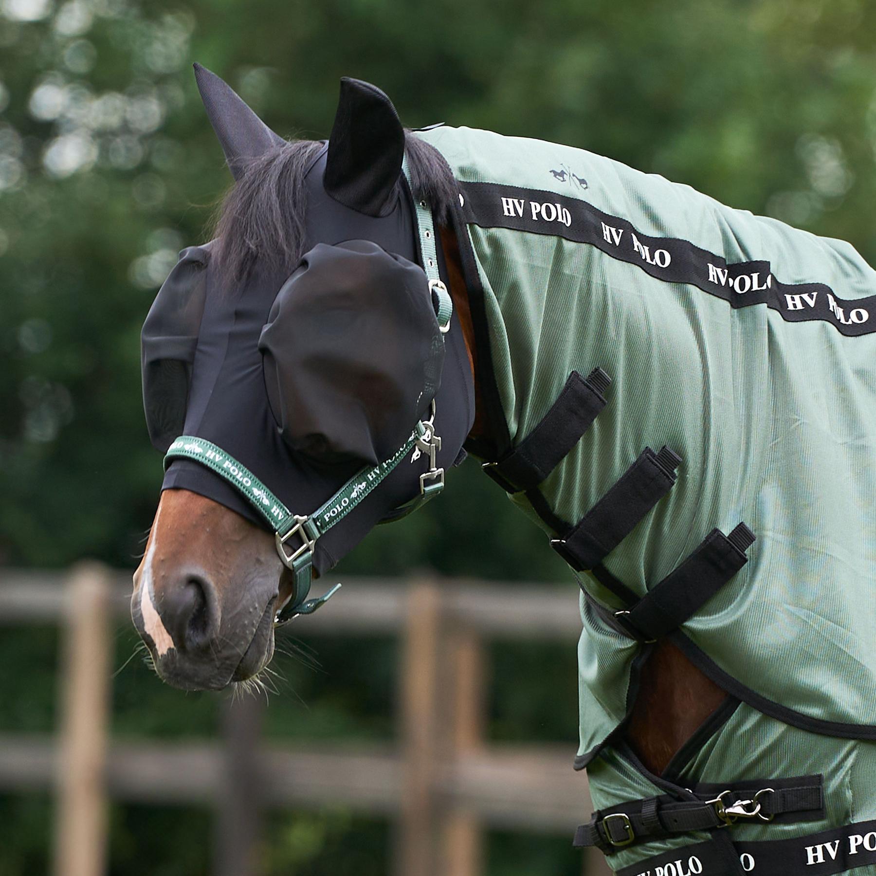 product/h/v/hv-polo_3005093701-9000_black_2.jpg