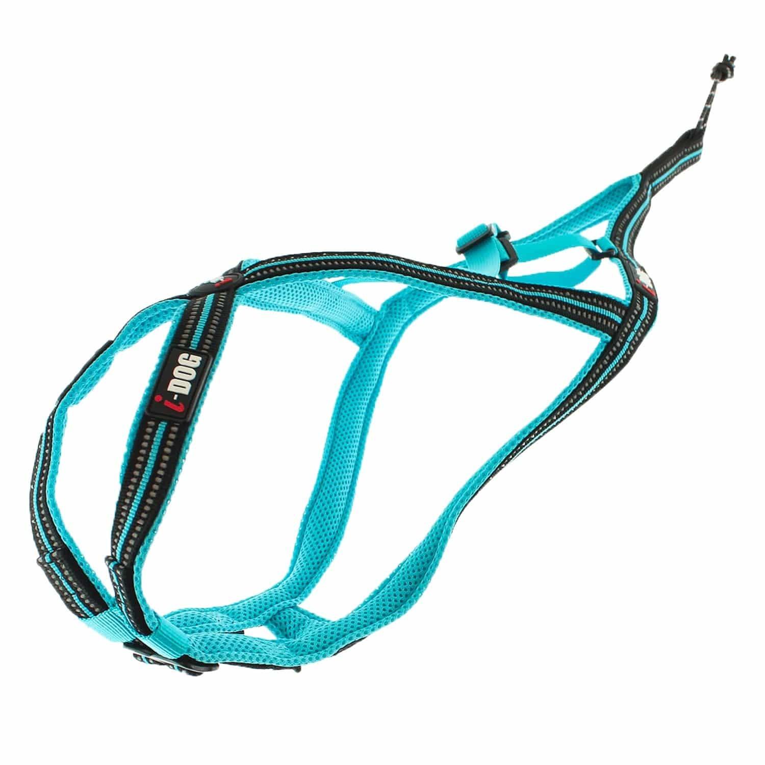 product/i/-/i-dog_i05b4xs_bleu_1.jpg