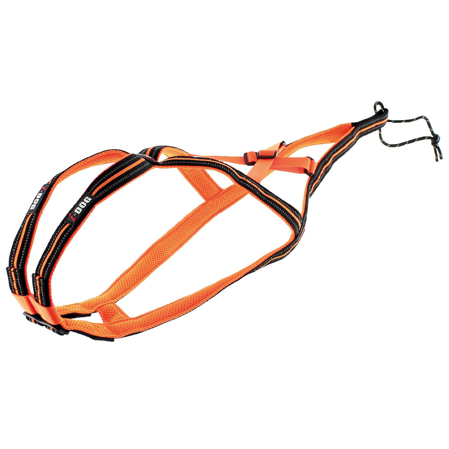 product/i/-/i-dog_i05o2xs_orange_1.jpg