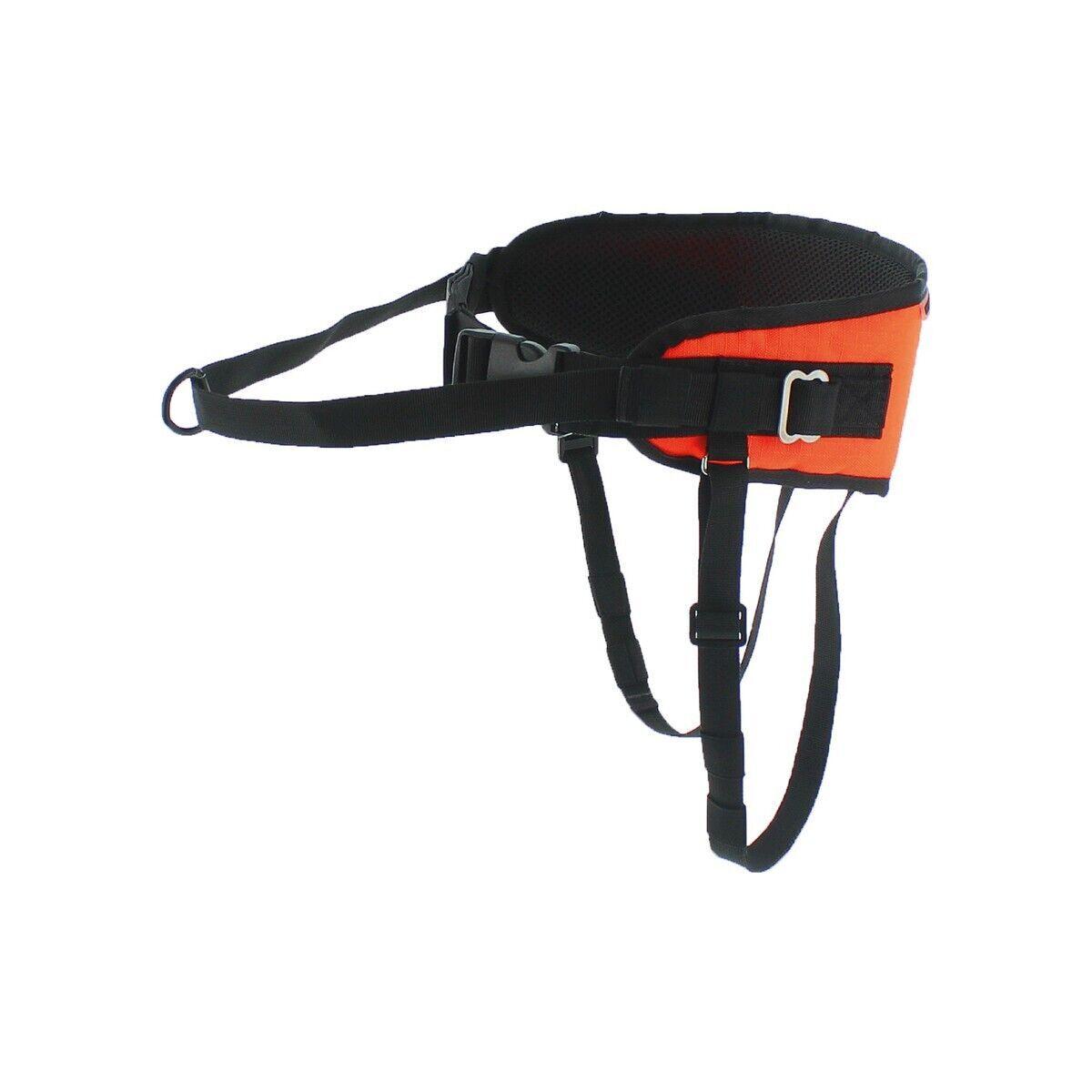 product/i/-/i-dog_i12lo_orange-noir_4.jpg