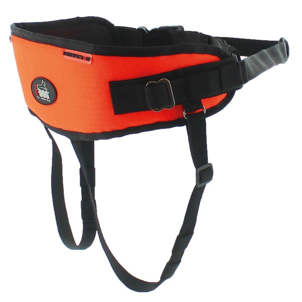 product/i/-/i-dog_i12lo_orange-noir_5.jpg