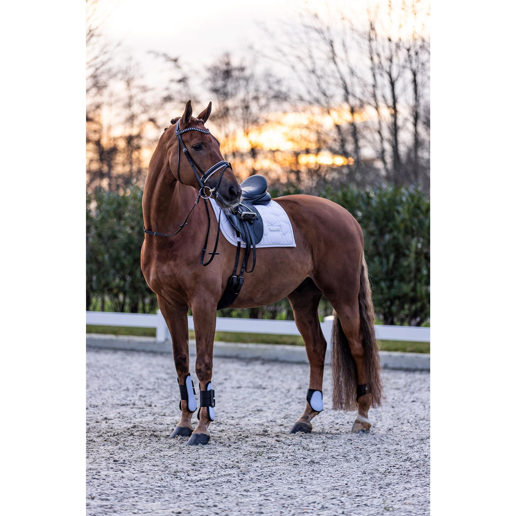 product/i/m/imperial-riding_be70322000-0000_white_2.jpg