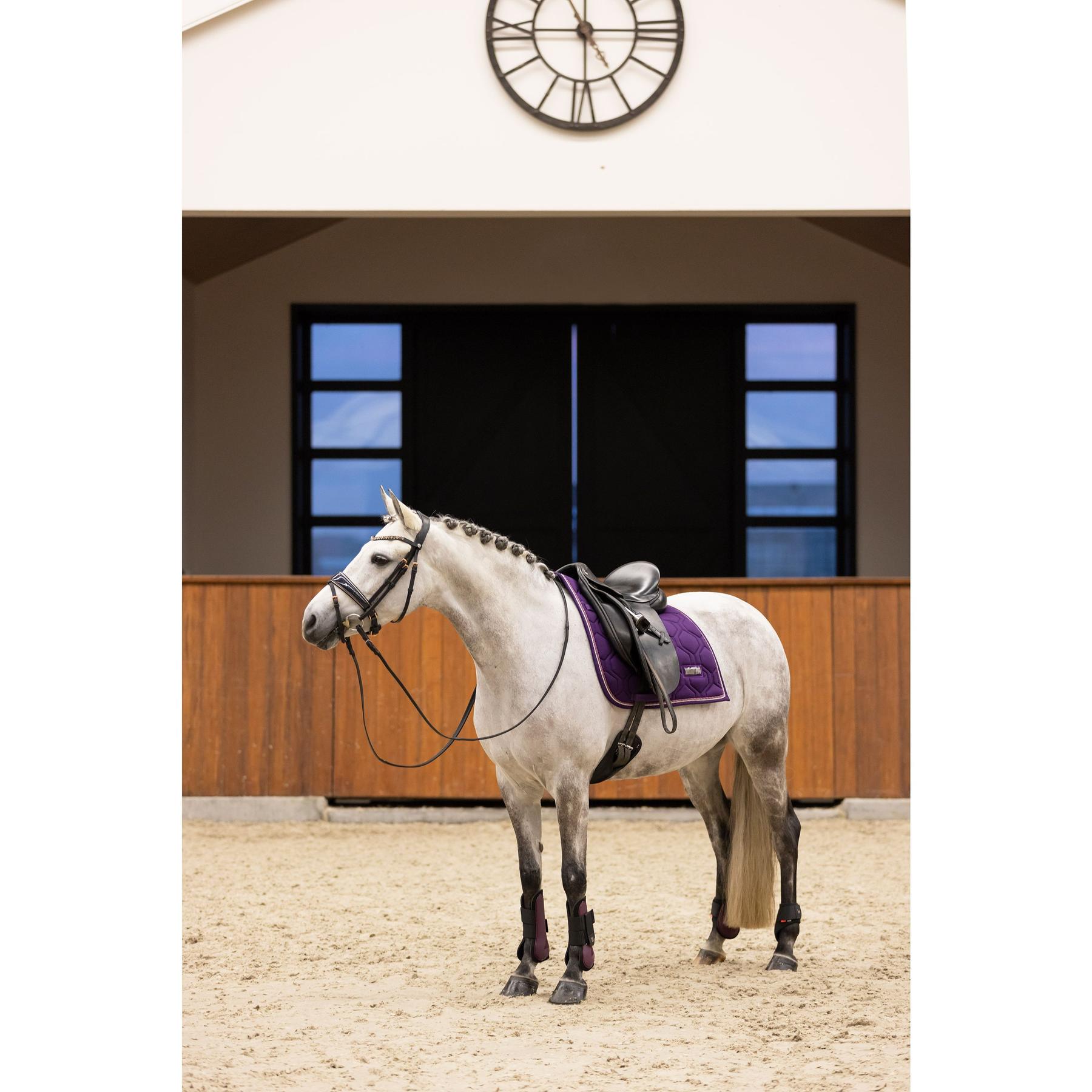 product/i/m/imperial-riding_be70322000-4060_black-berry_2.jpg