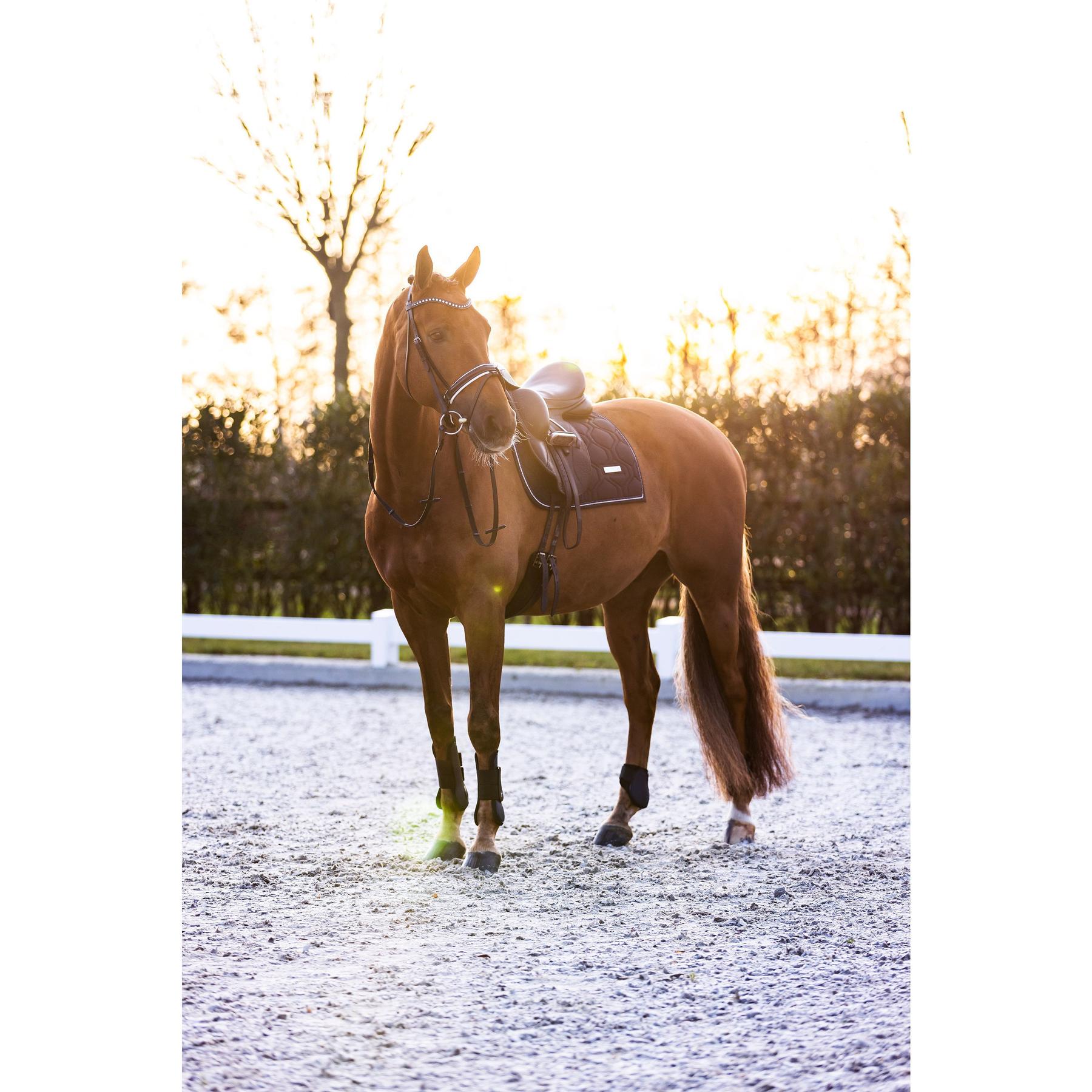 product/i/m/imperial-riding_be70322000-5001_navy_2.jpg
