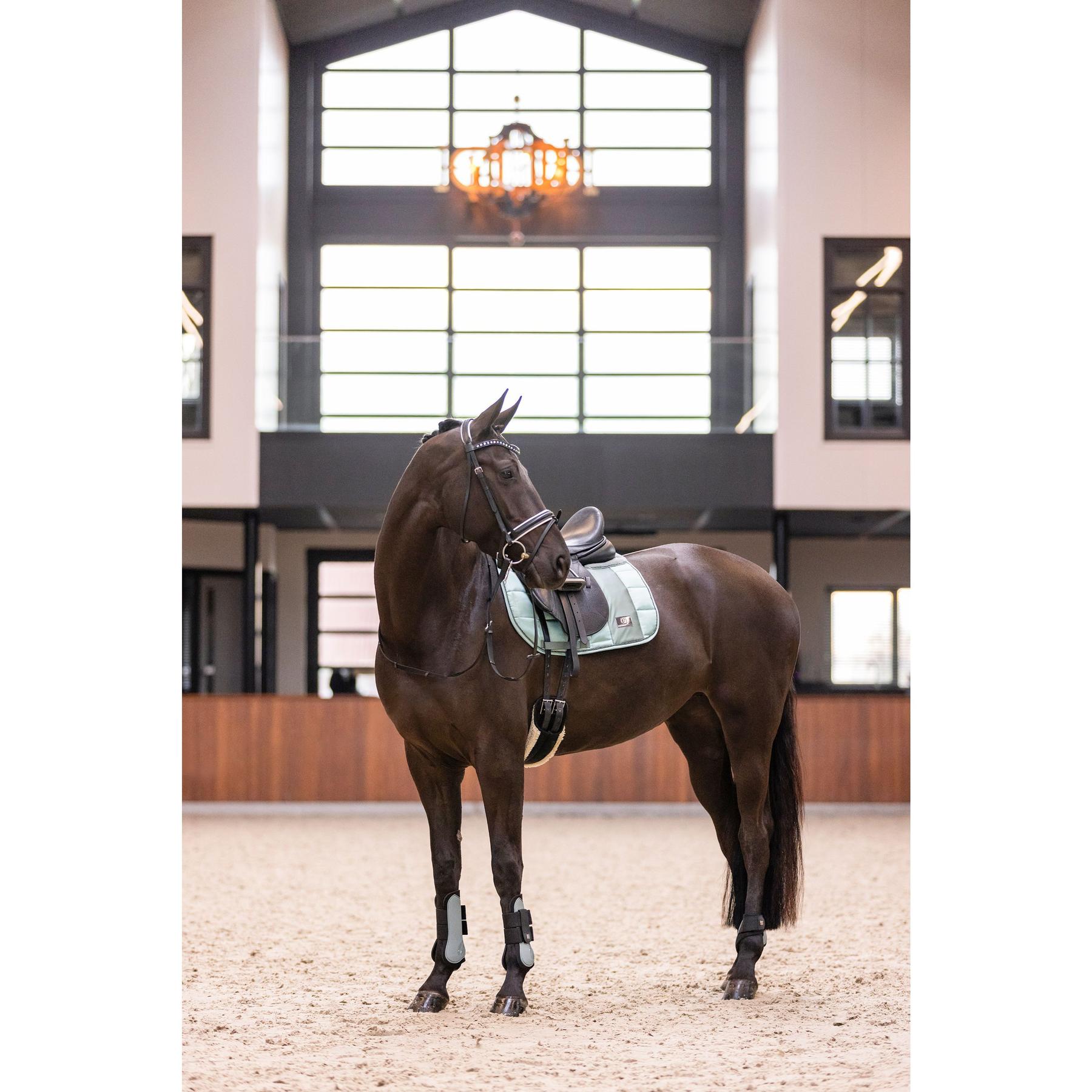 product/i/m/imperial-riding_be70322000-6036_sage-green_2.jpg