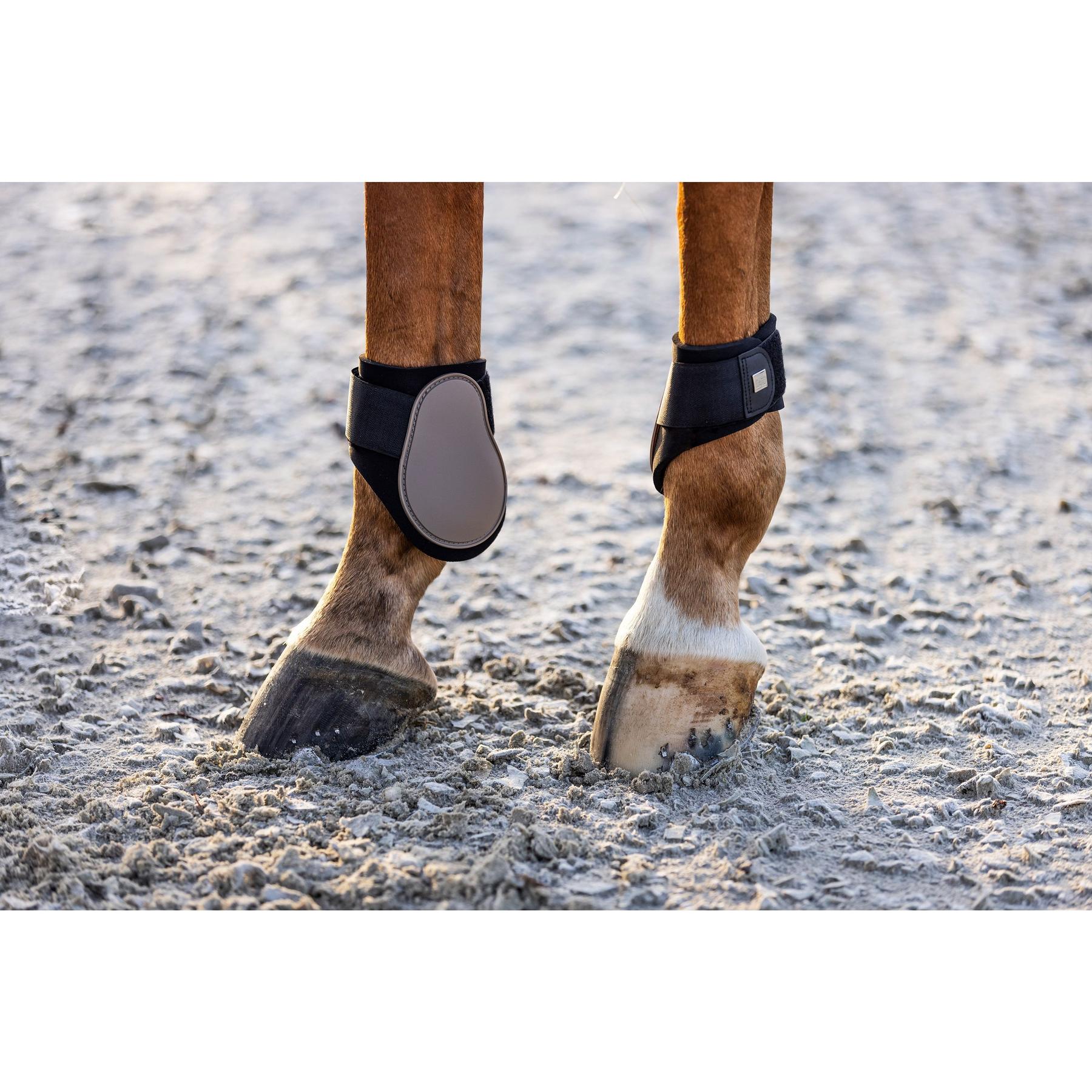 product/i/m/imperial-riding_be70322000-8043_cappuccino_3.jpg