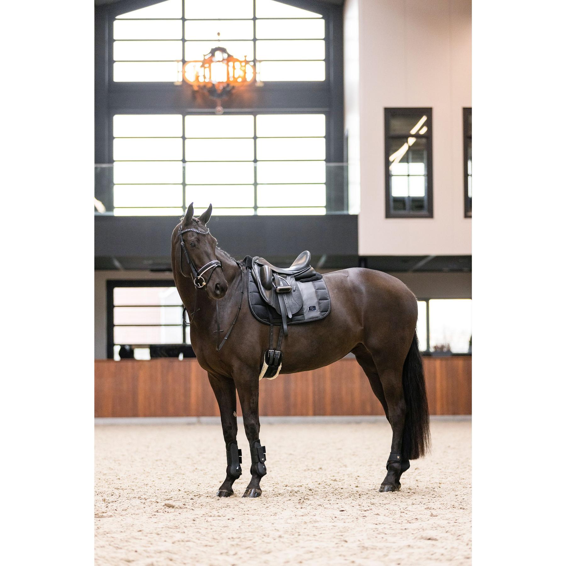product/i/m/imperial-riding_be70322000-9000_black_2.jpg