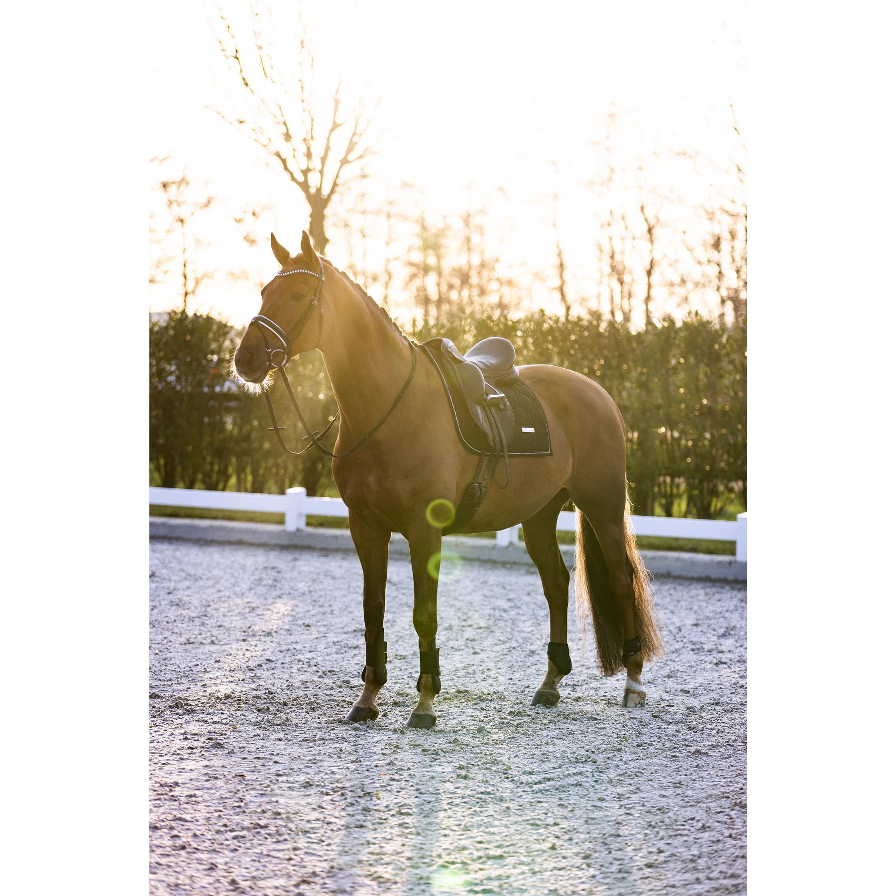 product/i/m/imperial-riding_be70322000-9000_black_3.jpg