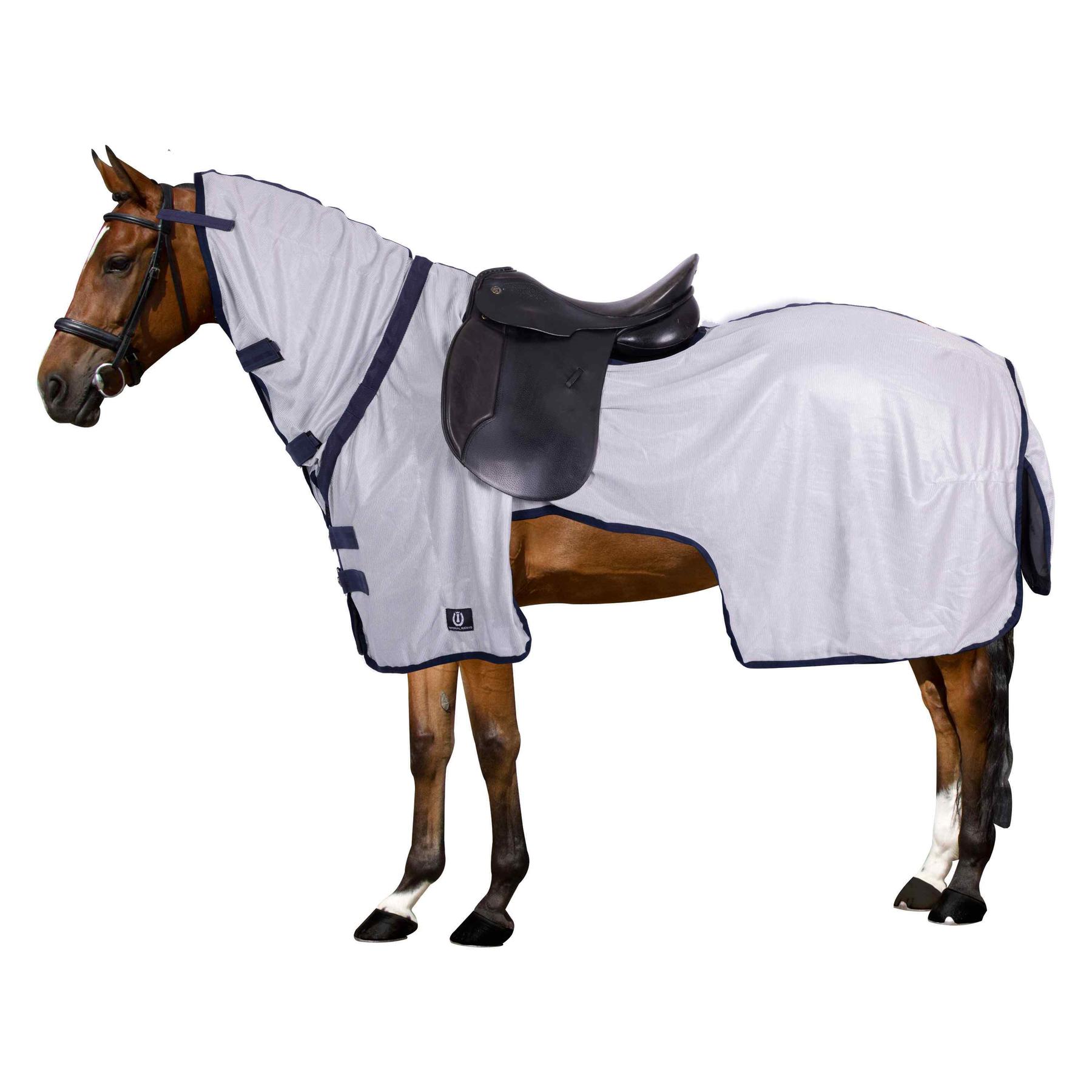 product/i/m/imperial-riding_de20123003-7036_1.jpg