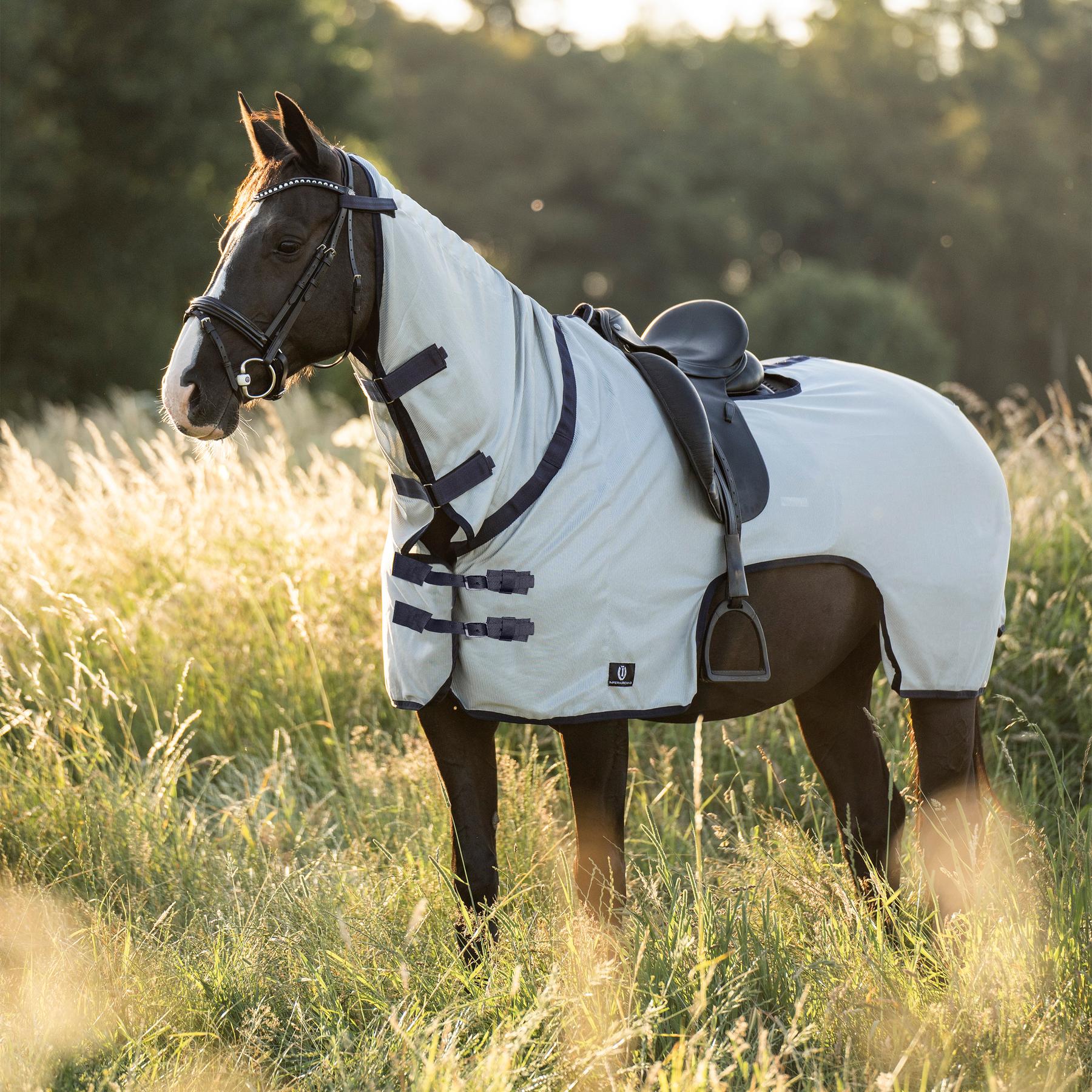 product/i/m/imperial-riding_de20123003-7036_2.jpg