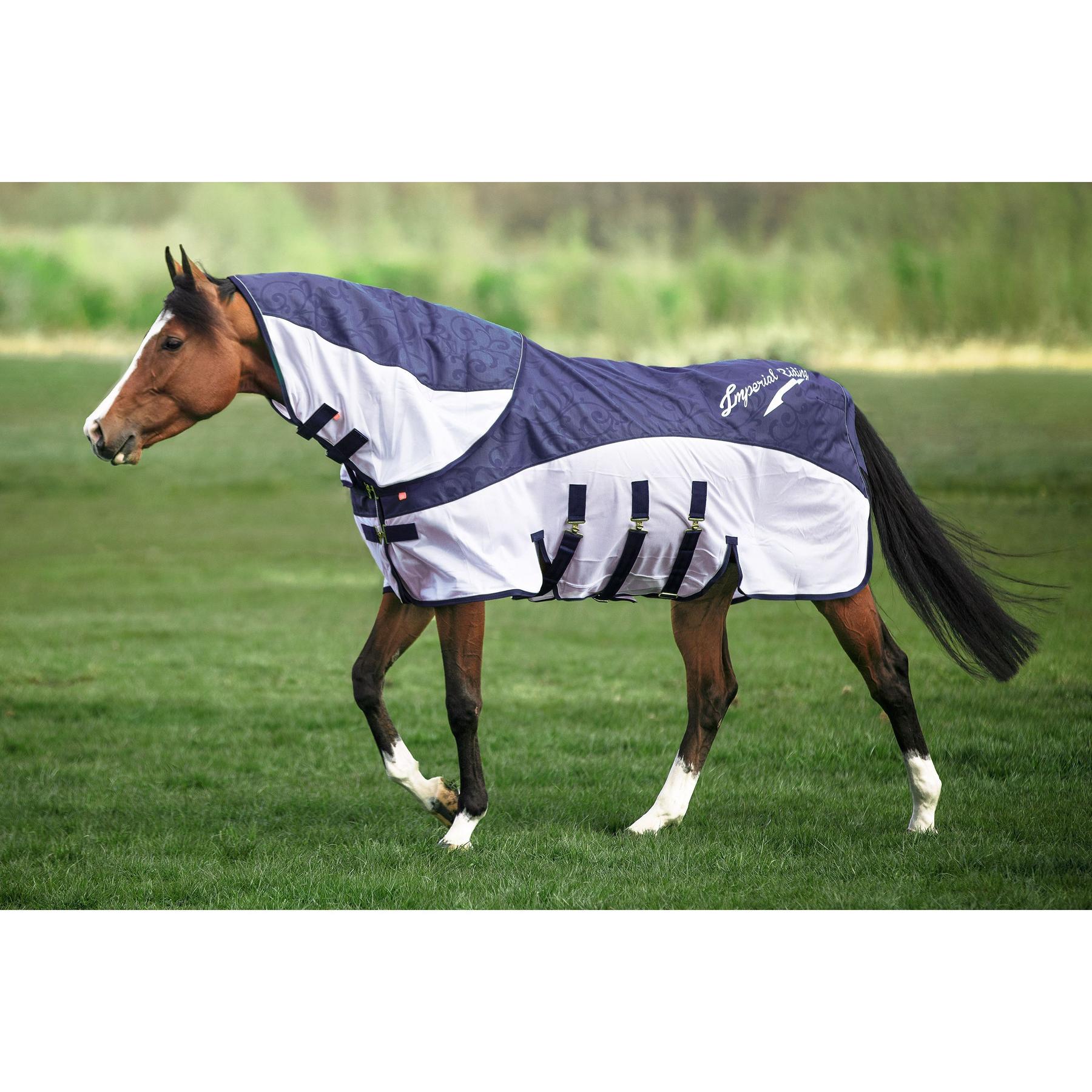 product/i/m/imperial-riding_de50321014-5001_navy_2.jpg