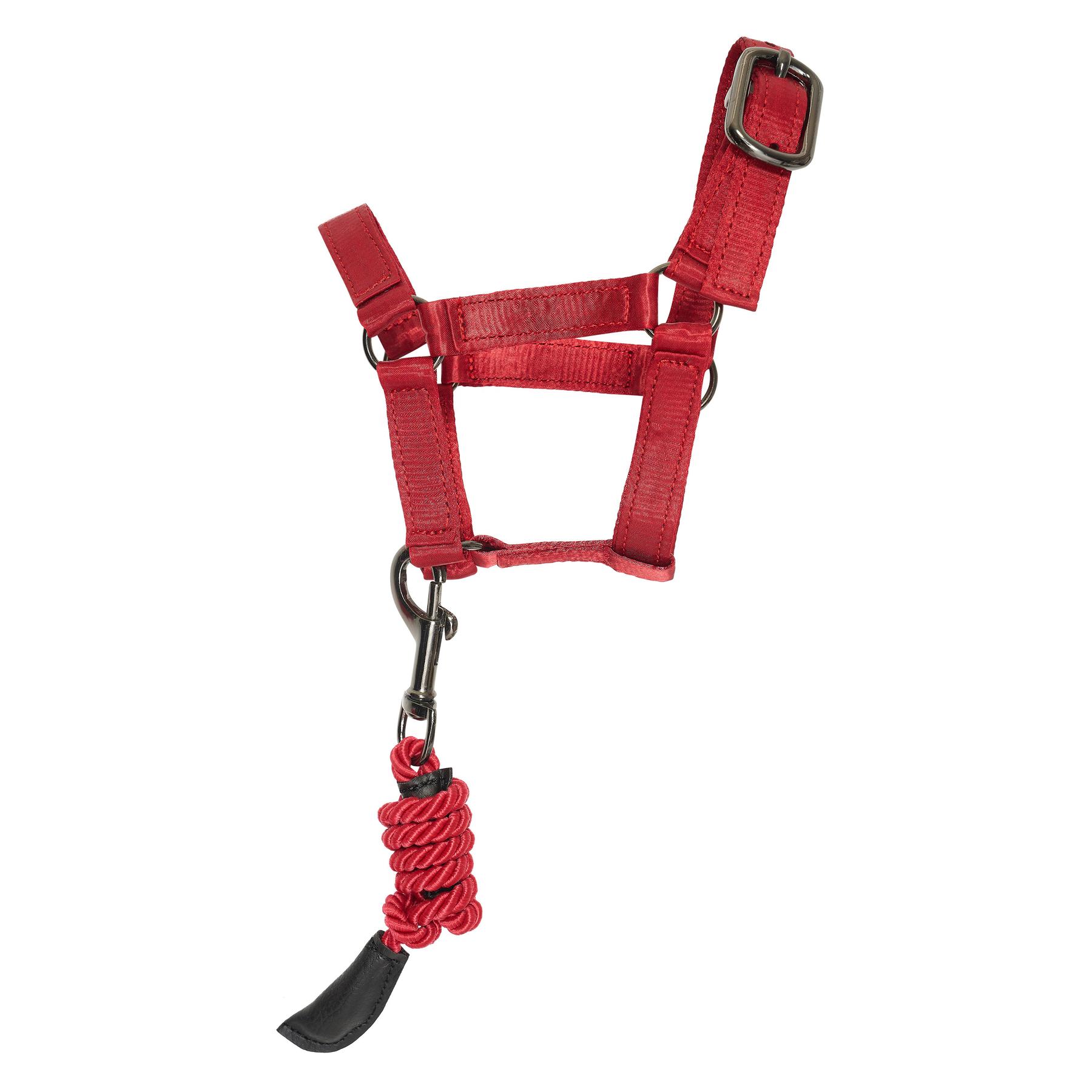 product/i/m/imperial-riding_kl10324001-3000_red_2.jpg