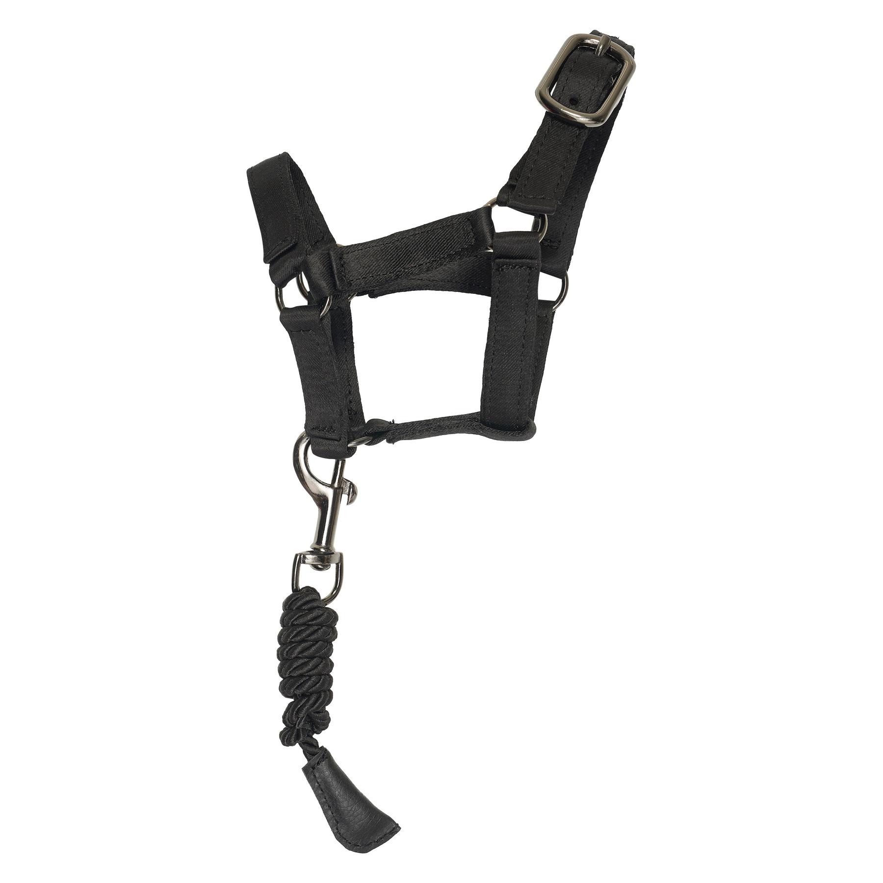 product/i/m/imperial-riding_kl10324001-7082_black-glitter_2.jpg