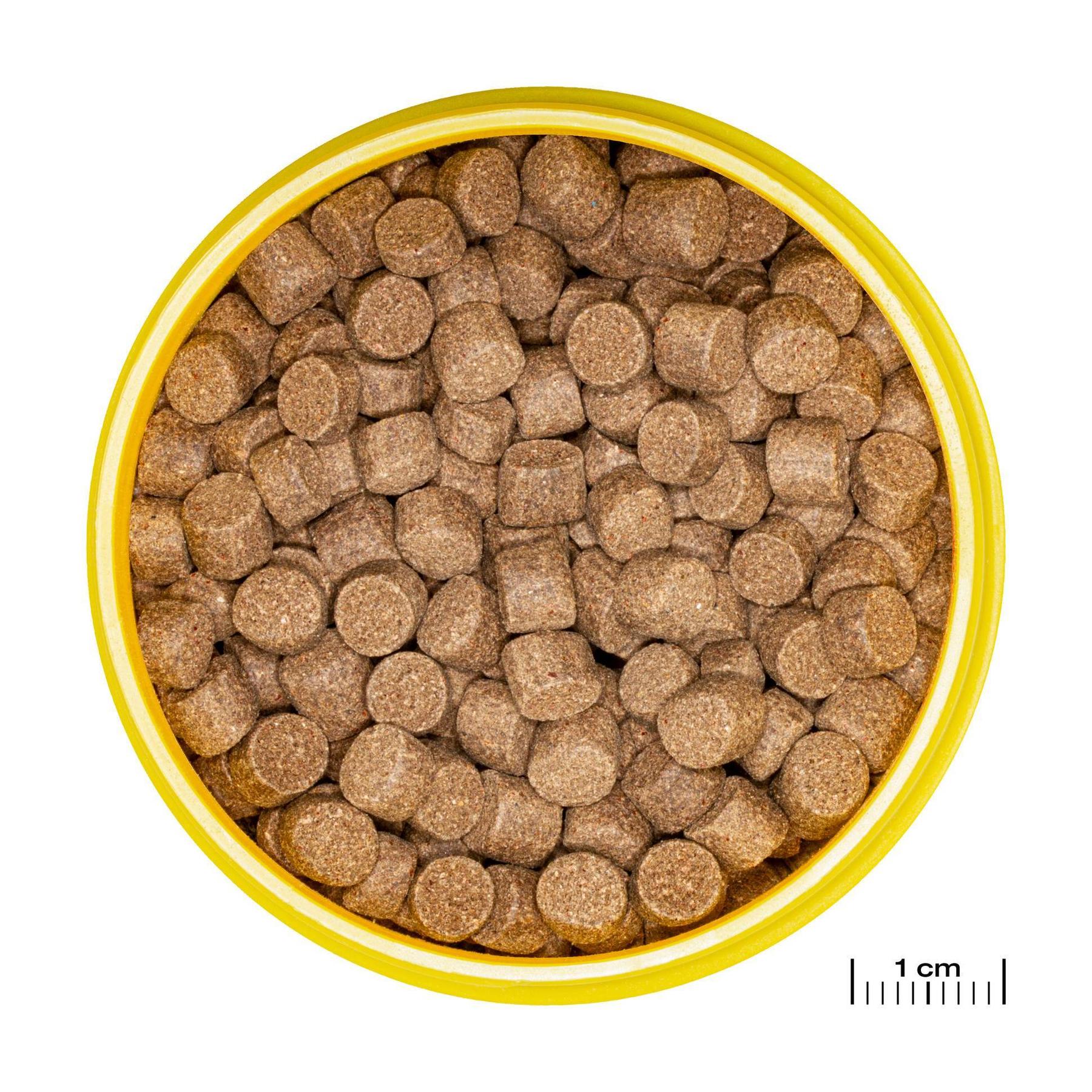 product/j/b/jbl_jb313580_marron_1.jpg