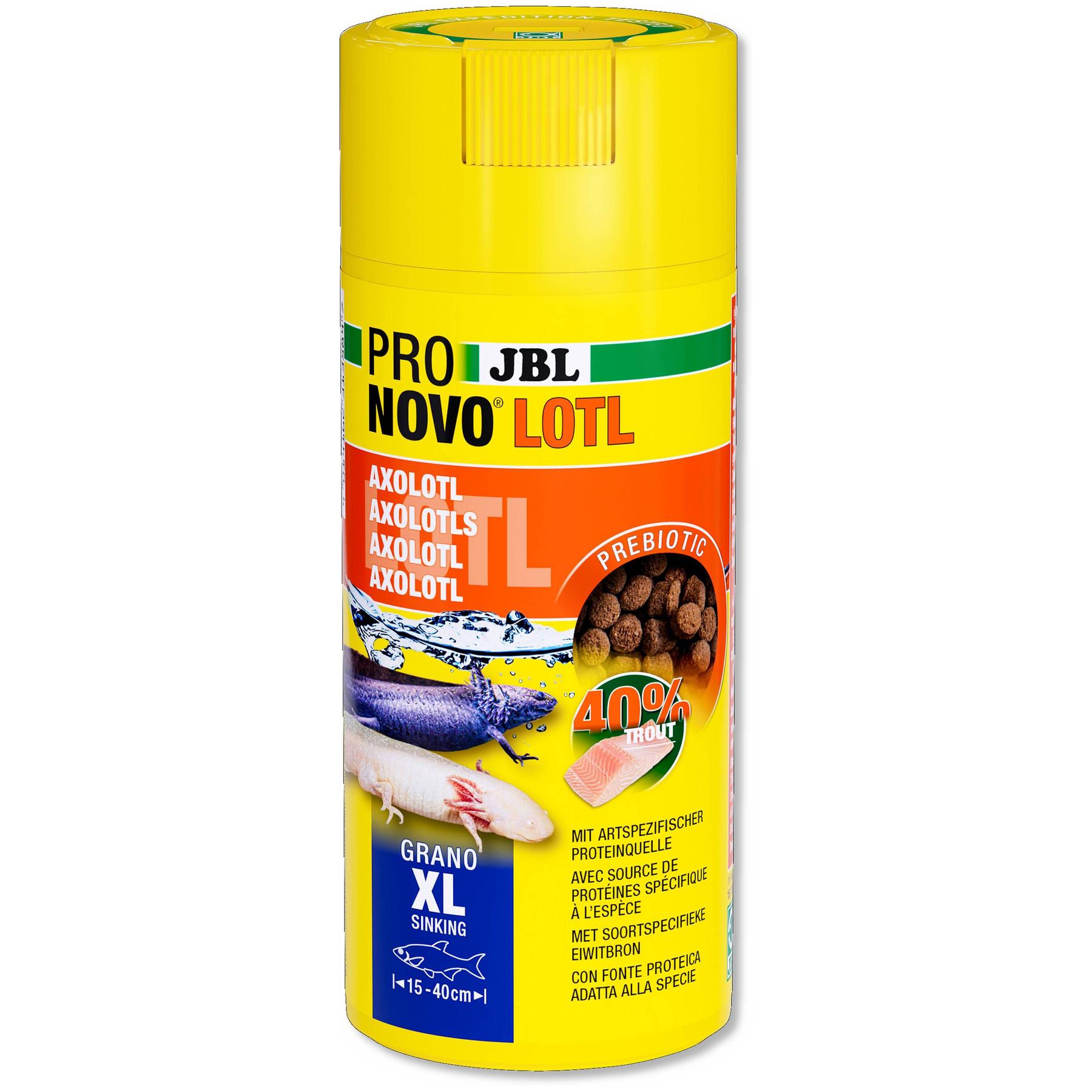 product/j/b/jbl_jb313580_marron_2.jpg